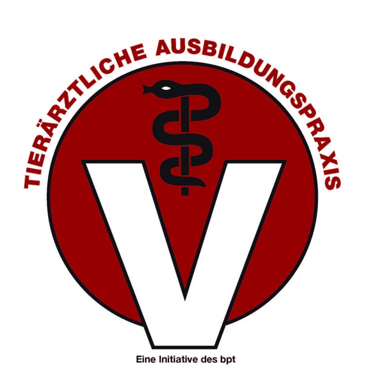 Logo Ausbildungspraxis aus pdf
